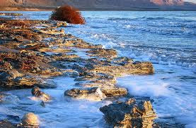 The Dead Sea: A Natural Wonder and Health Retreat