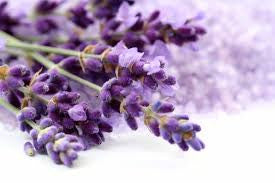 Transform Your Body Care Routine with Lavender Oil Products