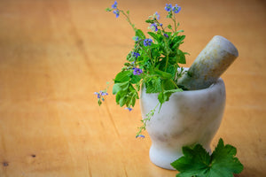 The Healing Power of Minerals and Herbs