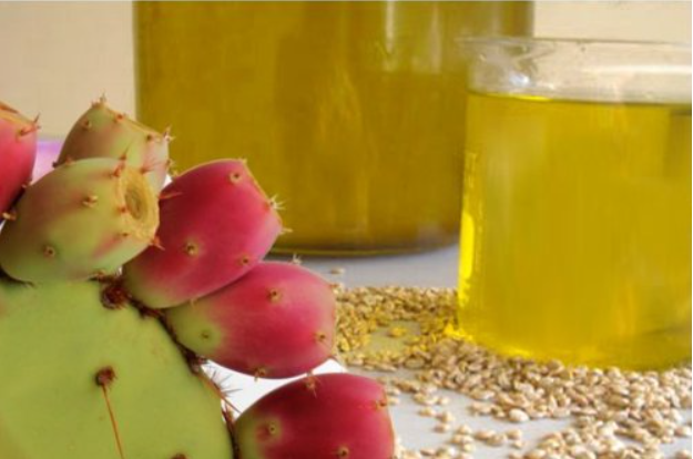 Prickly Pear Oil Magic: Top 10 Skin Care Products for Healthy Skin