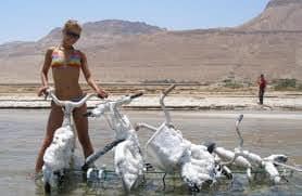 Do Not Know About Dead Sea
