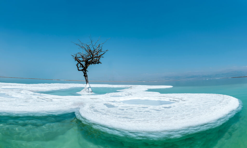Deadsea cosmetic
