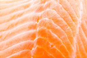 Salmon Skin Benefits
